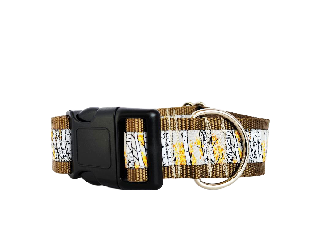 1.5" Aspen Tree Dog Collar