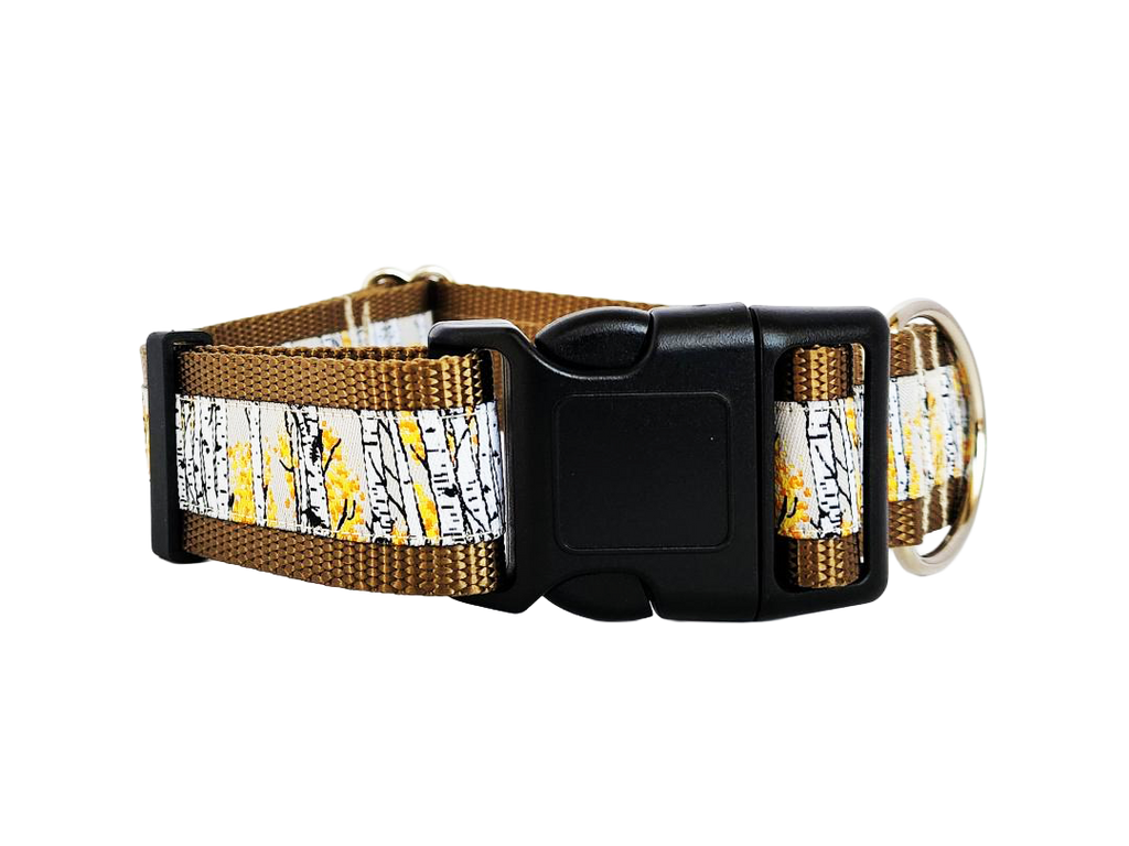 1.5" Aspen Tree Dog Collar