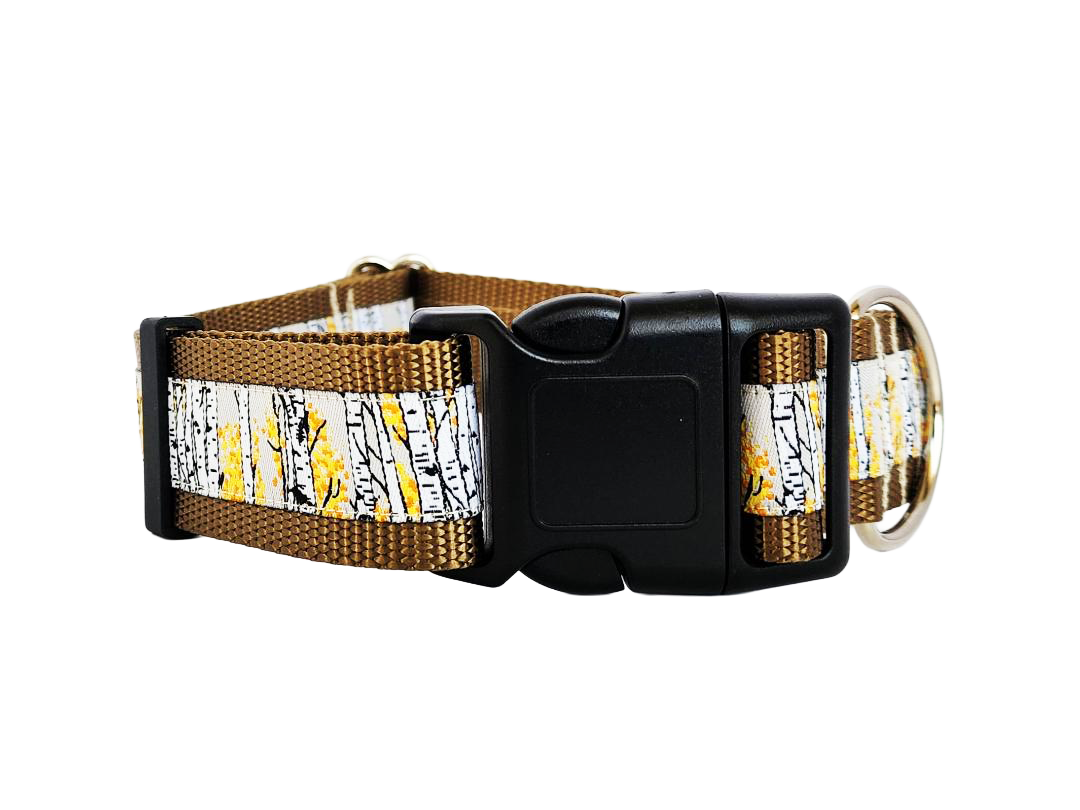 1.5" Aspen Tree Dog Collar