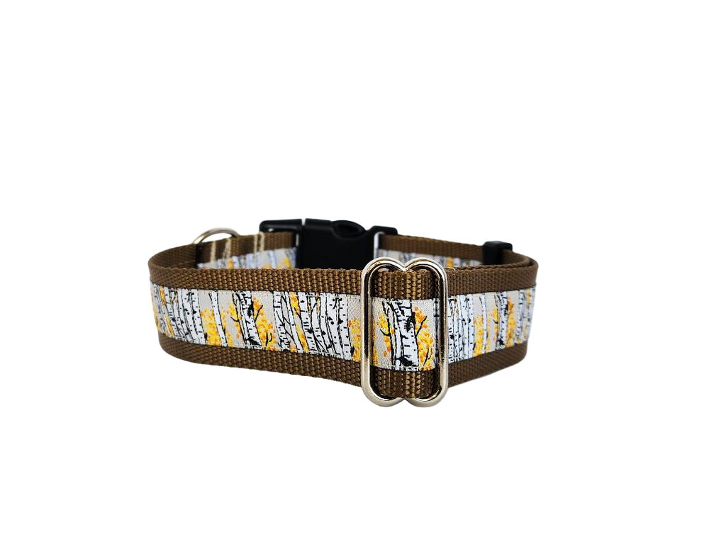 1.5" Aspen Tree Dog Collar