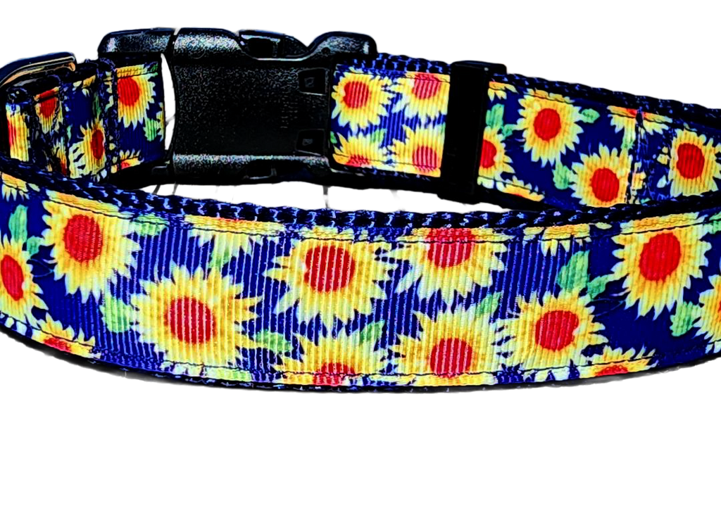 1" Sunflower Dog Collar or Leash