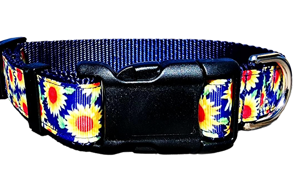 1" Sunflower Dog Collar or Leash