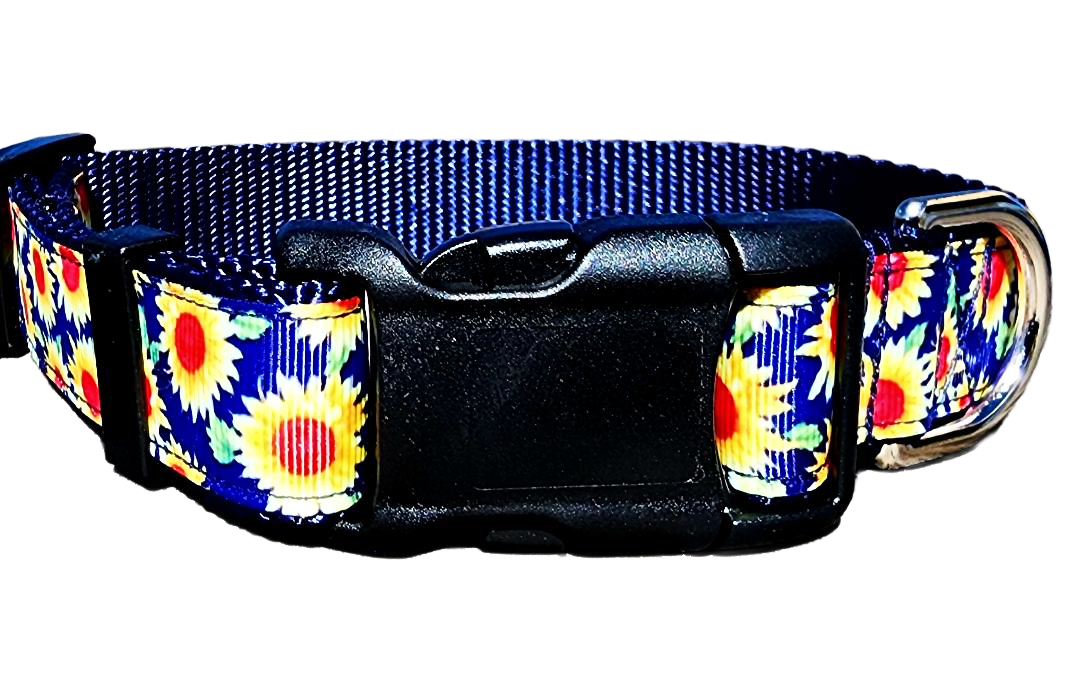 1" Sunflower Dog Collar or Leash