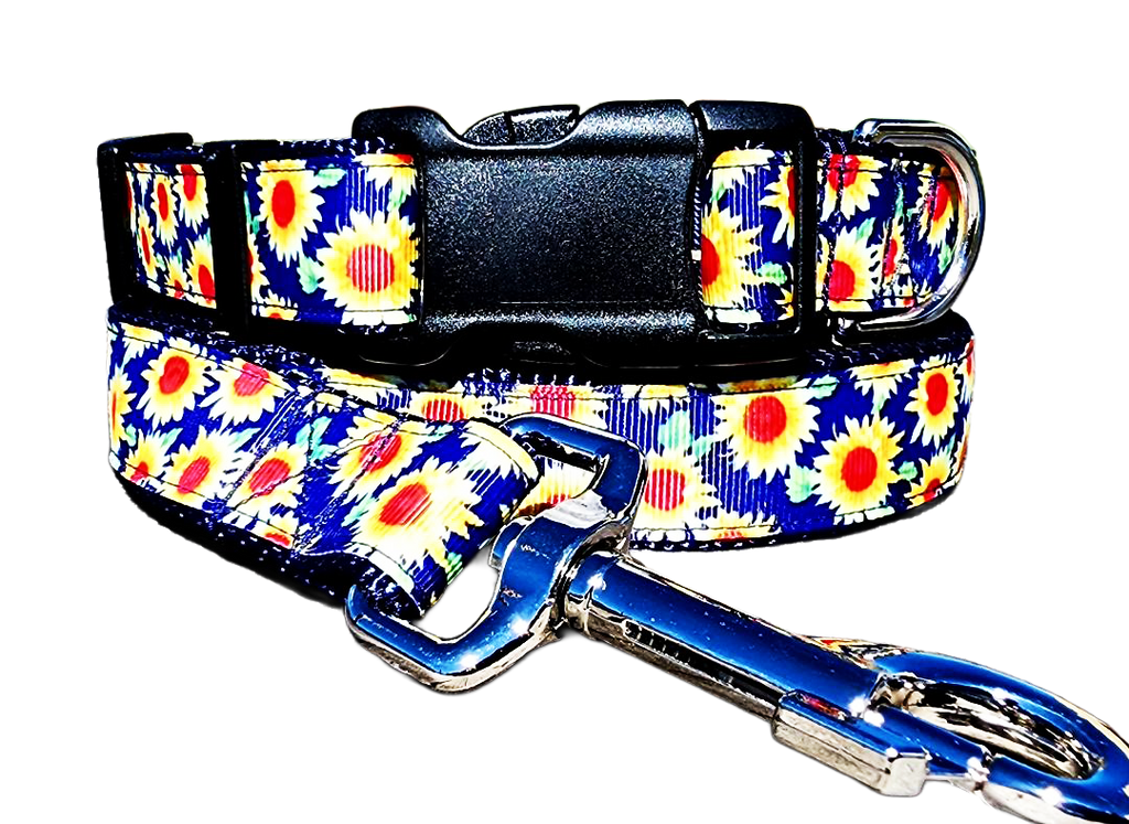 1" Sunflower Dog Collar or Leash