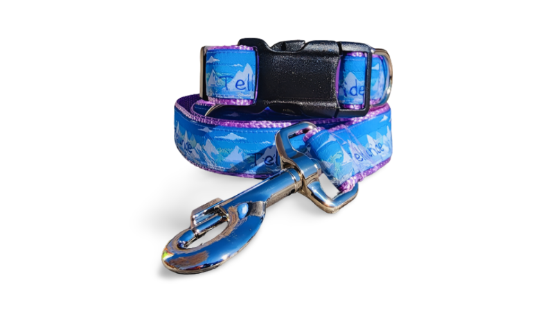Telluride Colorado Dog Collar, Leash, Martingale, or Harness image 3