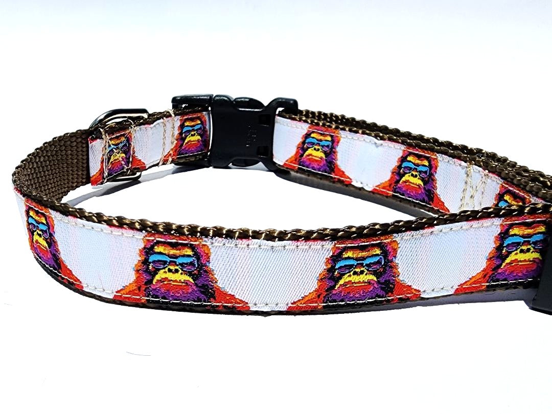 Big Foot Dog Collar or Leash- 3/4" image 2