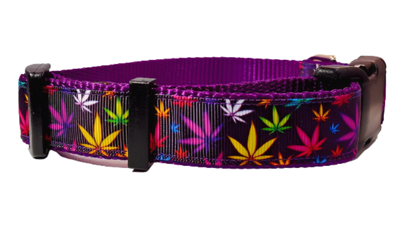 Purple Marijuana Dog Collar, Leash, Martingale, or Harness image 3