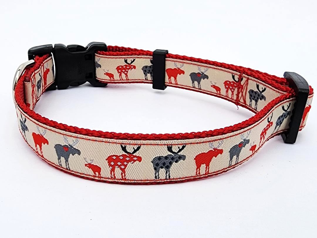 3/4" Moose Dog Collar, Leash, or Martingale image 1