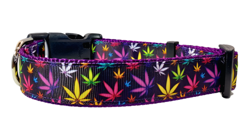 Purple Marijuana Dog Collar, Leash, Martingale, or Harness image 1
