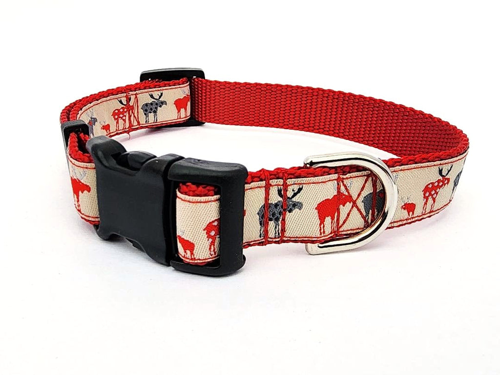 3/4" Moose Dog Collar, Leash, or Martingale image 2