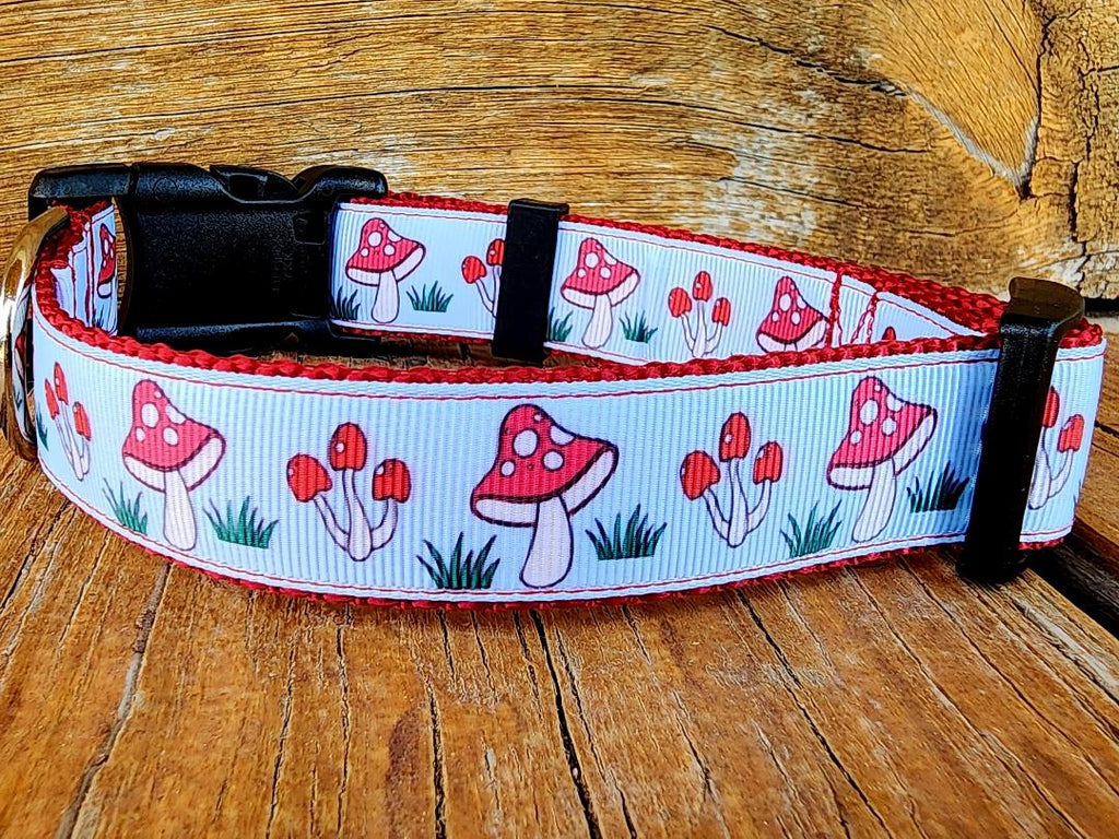 1" Mushroom Dog Collar, Leash, or Martingale image 1