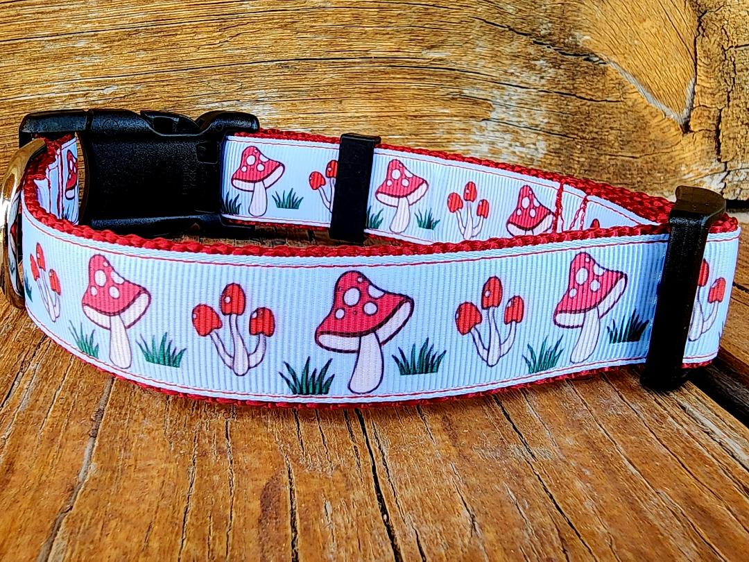 1" Mushroom Dog Collar, Leash, or Martingale image 1