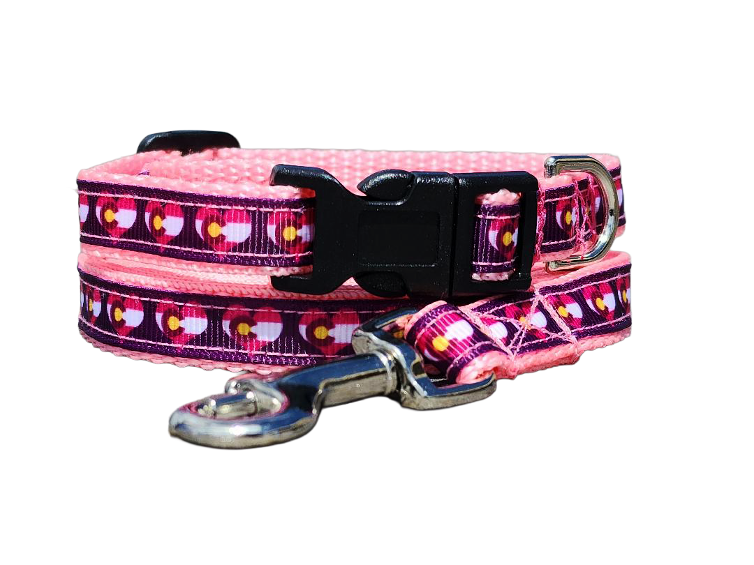 1/2" Purple or Pink Colorado Dog Collar, Leash, or Harness image 1
