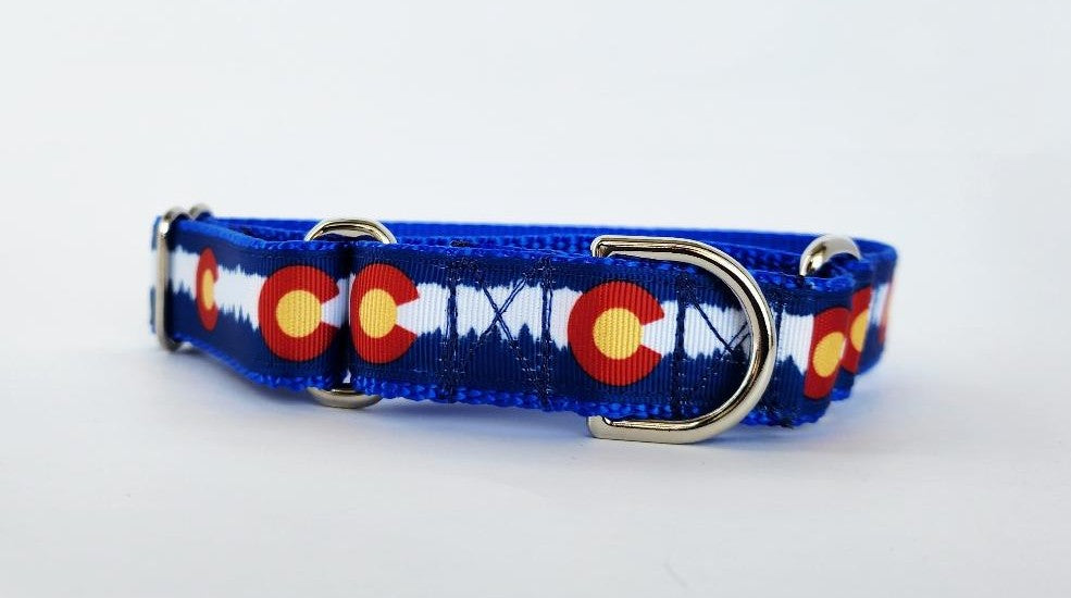 1" Blue Colorado Martingale Dog Collar image 1
