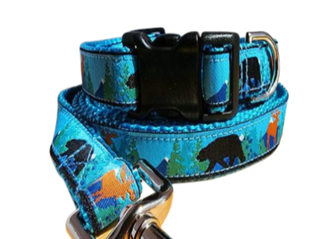 3/4" Bear and Moose Dog Collar, Leash, Martingale, Harness image 0