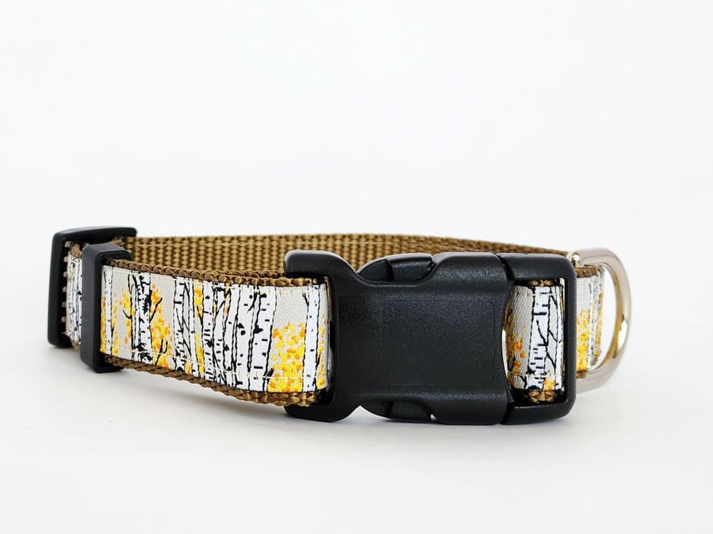 1" Aspen Tree Dog Collar or Leash image 0
