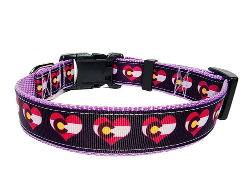 1" Purple Colorado Dog Collar or Leash image 1