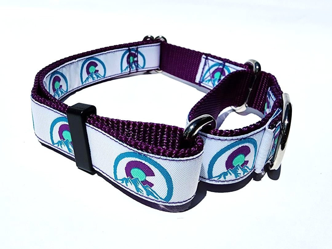 1" Purple Colorado Martingale Collar or Leash image 2