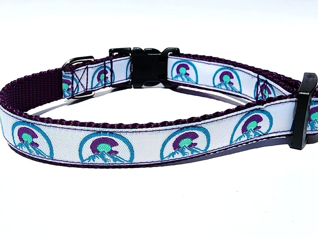 Colorado Purple Dog Collar or Leash image 1