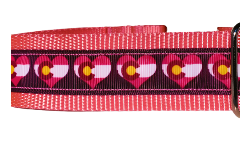 1.5" Purple or Pink Colorado Dog Collar image 2