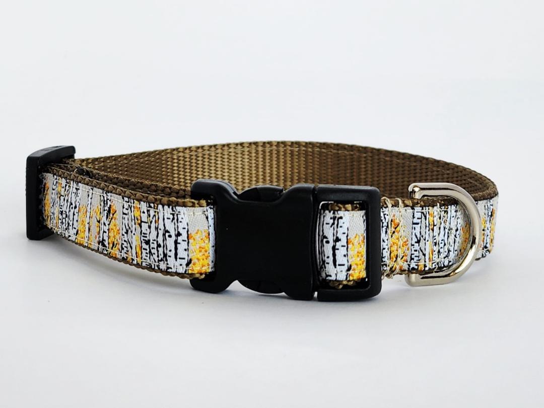 3/4" Aspen Tree Dog Collar image 0