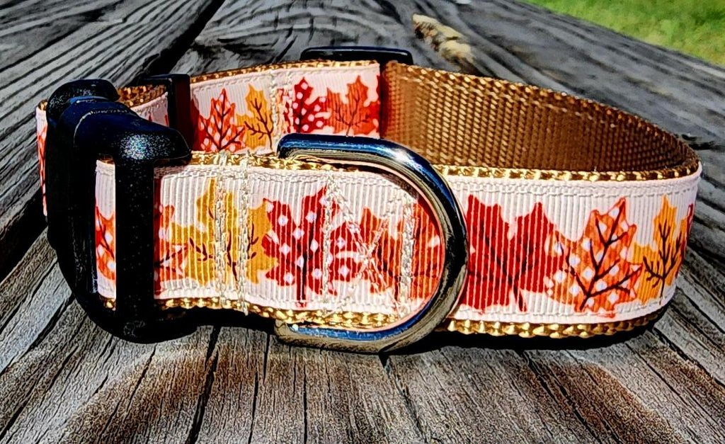 1" Fall Leaves Dog Collar, Leash, or Martinale image 2