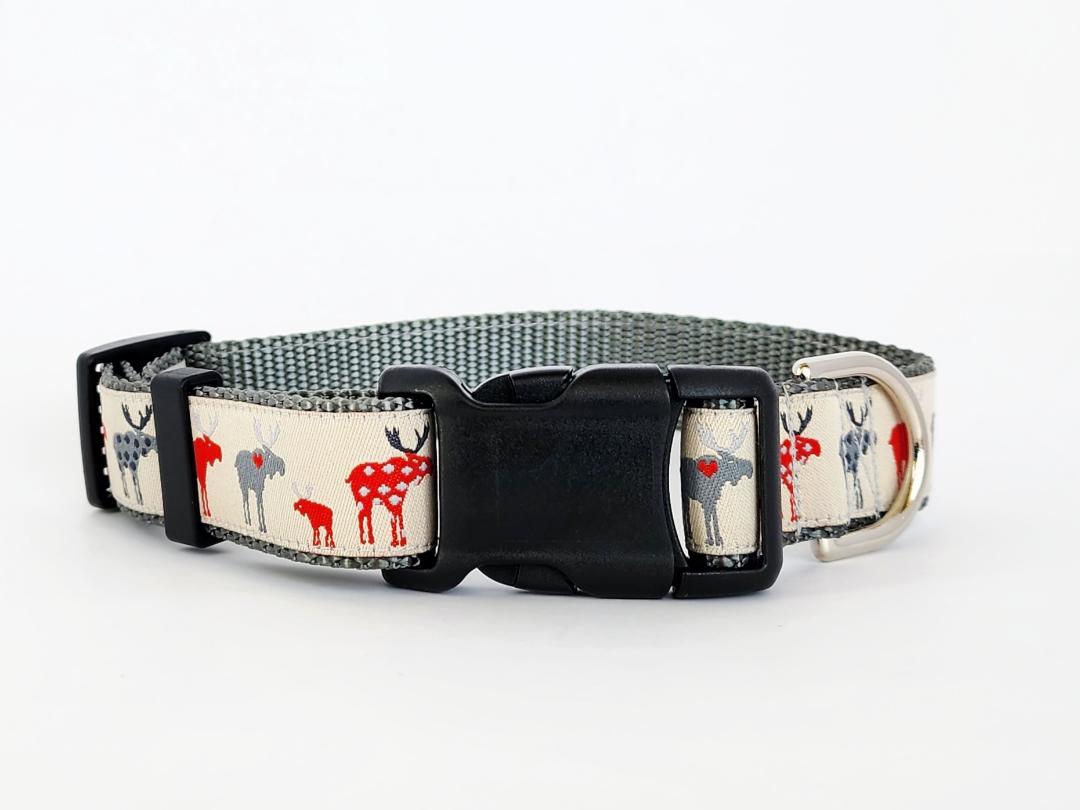 1" Moose Dog Collar or Leash image 1