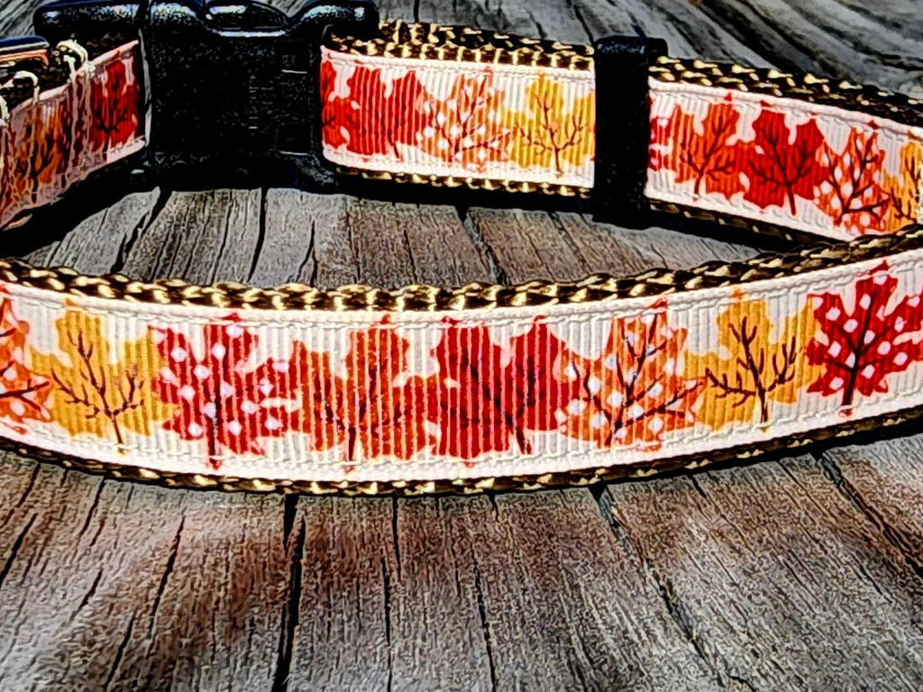 3/4" Fall Leaves Dog Collar, Leash, or Martingale image 3