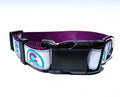 Colorado Dog Collar or Leash- 1" Wide image 5