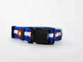 1" Blue Colorado Dog Collar or Leash 