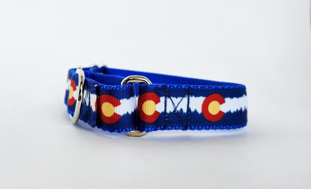 1" Blue Colorado Martingale Dog Collar image 2