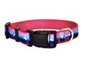 1" Mountain Dog Collar, Leash, Martingale, or Harness image 1