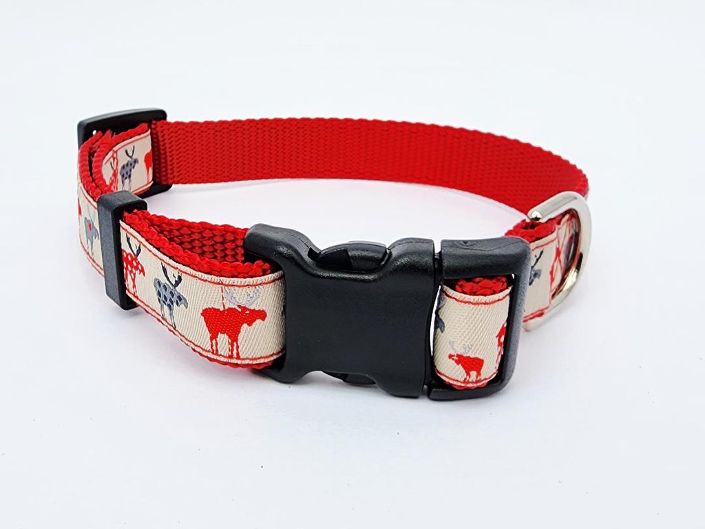 3/4" Moose Dog Collar, Leash, or Martingale image 0