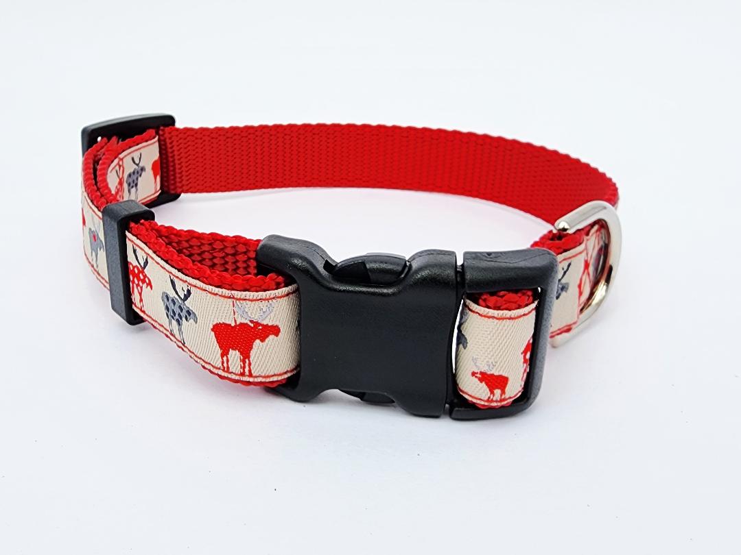 3/4" Moose Dog Collar, Leash, or Martingale image 0