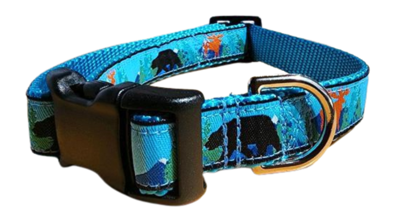 3/4" Bear and Moose Dog Collar, Leash, Martingale, Harness image 4