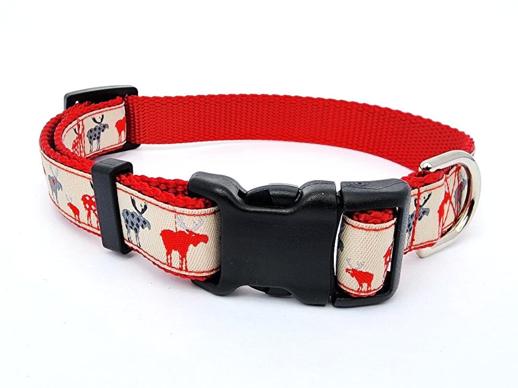 3/4" Moose Dog Collar, Leash, or Martingale image 3