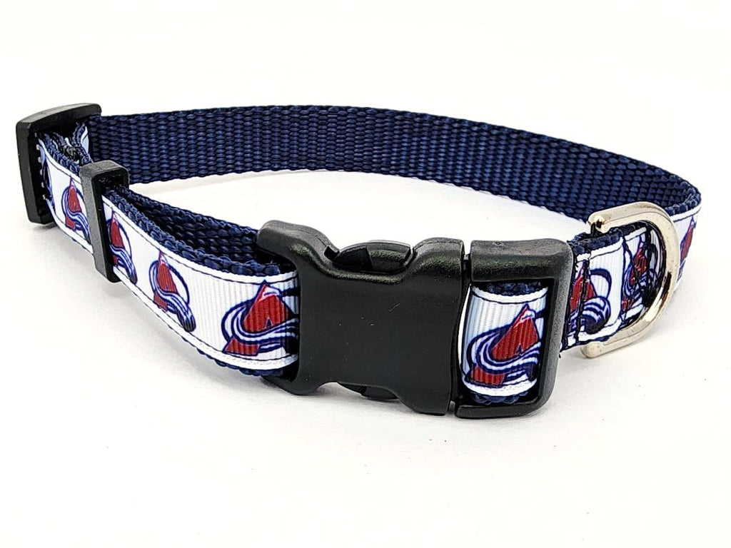 3/4" Avalanche Dog Collar, Leash, or Martingale image 0