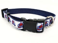 3/4" Avalanche Dog Collar, Leash, or Martingale image 0