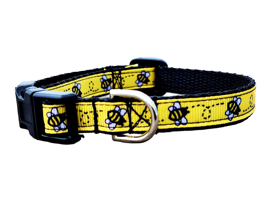 1/2" Black Bee Dog Collar or Leash