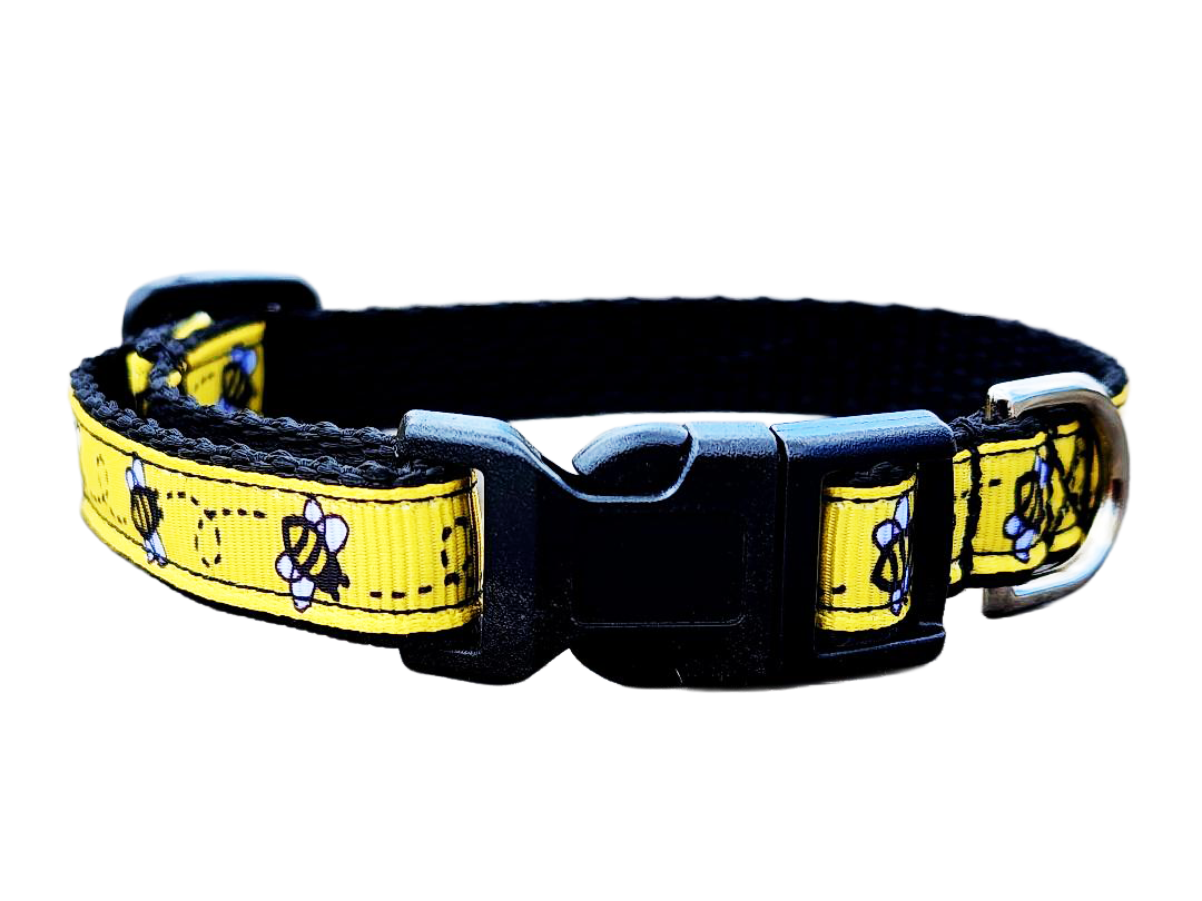 1/2" Black Bee Dog Collar or Leash