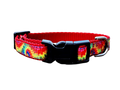 1/2" Tie Dye Dog Collar or Leash