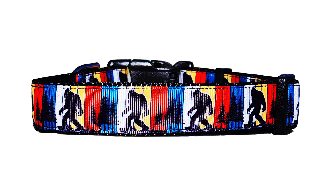 1" Big Foot Dog Collar or Leash