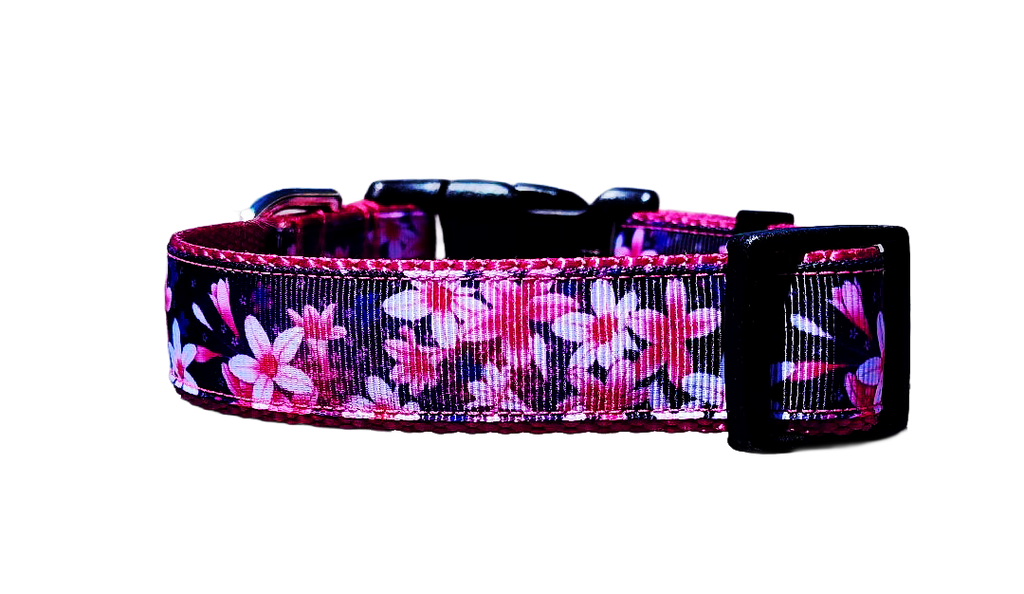 1" Pink Floral Dog Collar or Leash
