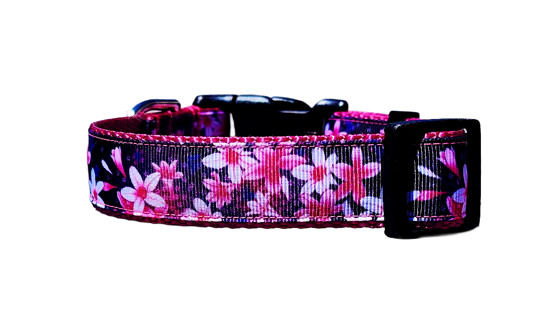 1" Pink Floral Dog Collar or Leash