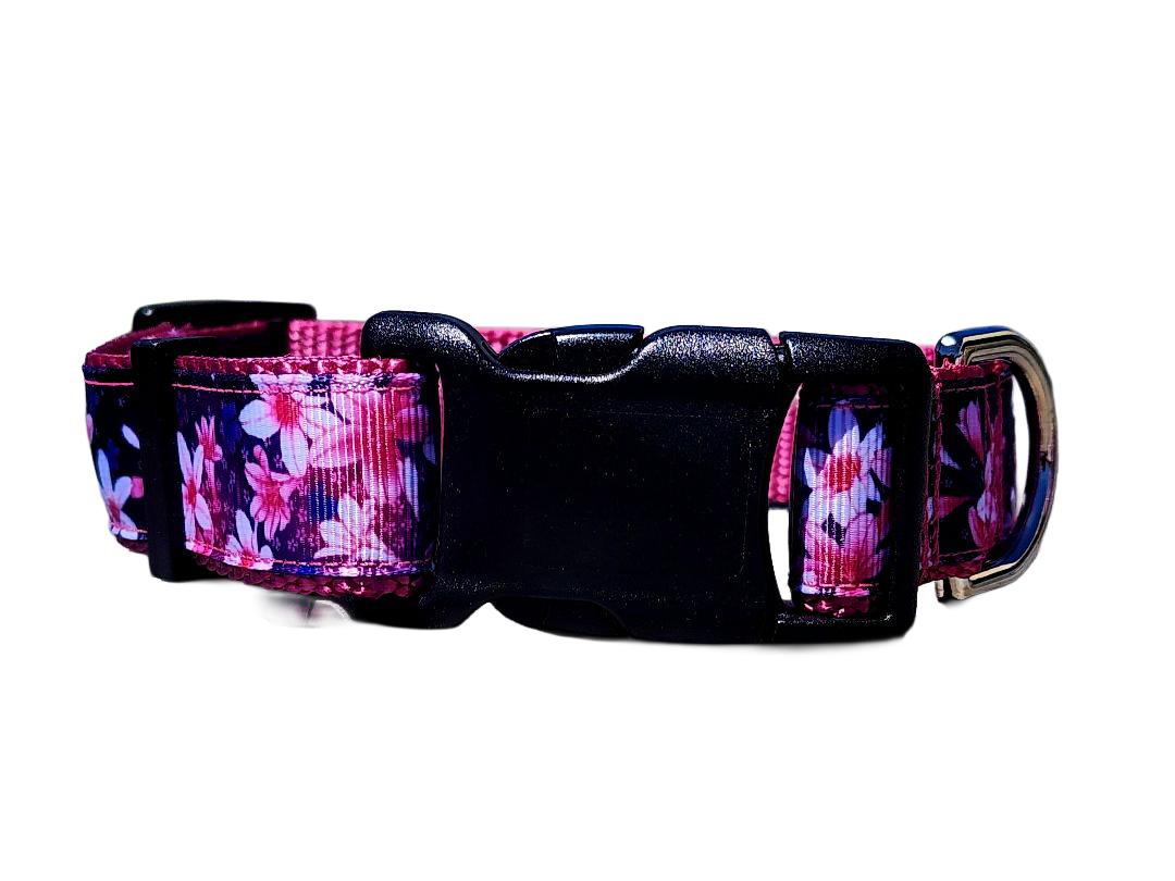 1" Pink Floral Dog Collar or Leash