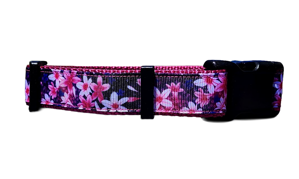 1" Pink Floral Dog Collar or Leash