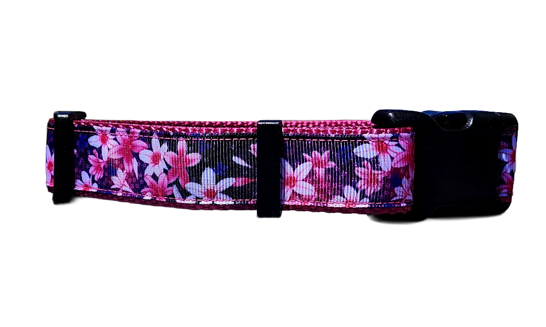 1" Pink Floral Dog Collar or Leash