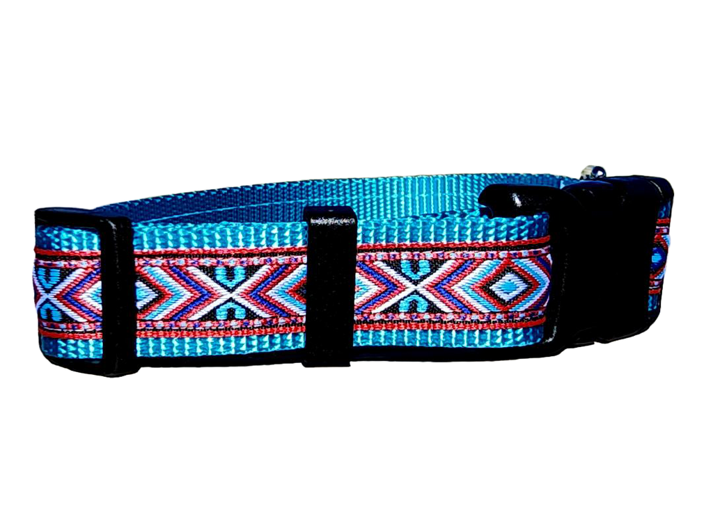 1" Red Southwest Dog Collar or Leash