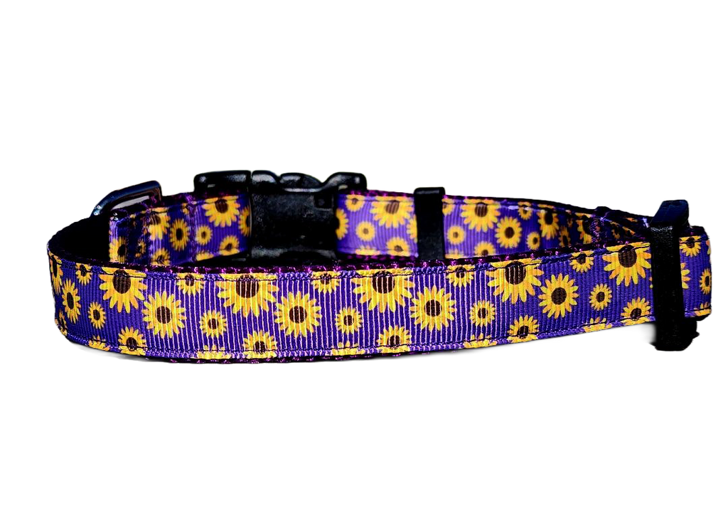 3/4" Daisy Dog Collar or Leash