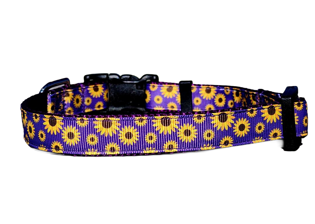 3/4" Daisy Dog Collar or Leash